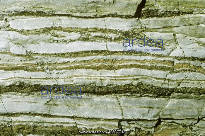 : Layers of limestone and sandstone : Layers of limestone and sandstone