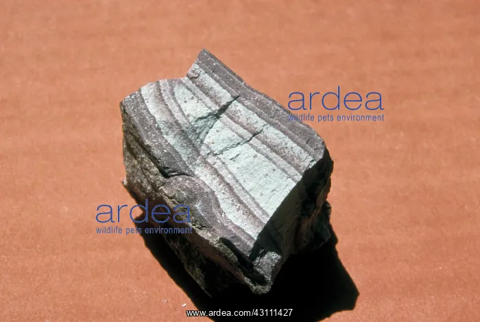 : Layers in Sandstone : Layers in Sandstone
