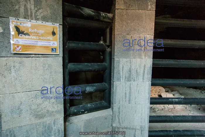 : Layout of the entrance to an underground shelter : Layout of the entrance to an underground shelter