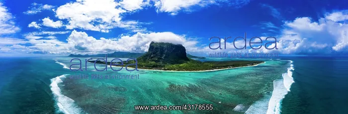 : Le Morne Brabant, in front of it resorts, aerial : Le Morne Brabant, in front of it resorts, aerial