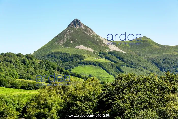 : Le Puy Griou mountain in the Auvergne volcanoes : Le Puy Griou mountain in the Auvergne volcanoes