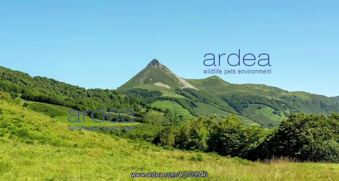  : Le Puy Griou mountain in the Auvergne volcanoes