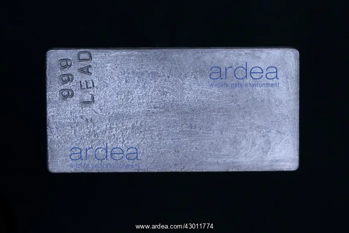  : Lead (Pb) Ingot