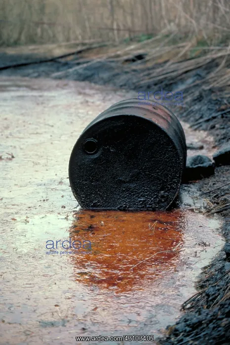 : Leaking oil drum : Leaking oil drum