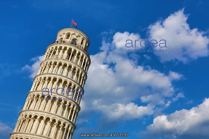: Leaning Tower of Pisa bell tower, Piazza dei Miracoli : Leaning Tower of Pisa bell tower, Piazza dei Miracoli