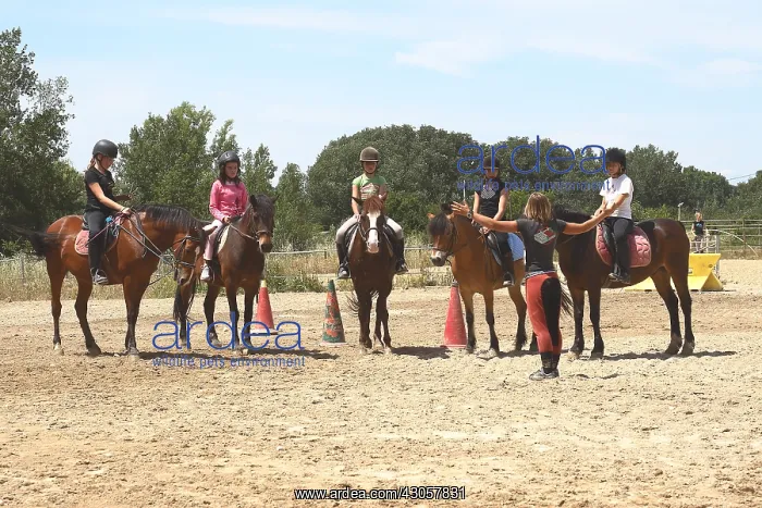 : Learner girls riding France : Learner girls riding France