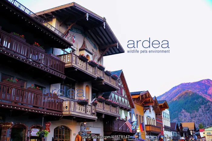 : Leavenworth, Washington State, USA. Oktoberfest : Leavenworth, Washington State, USA. Oktoberfest
