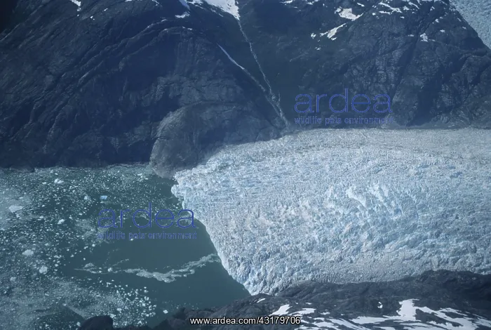 : LeConte Glacier : LeConte Glacier