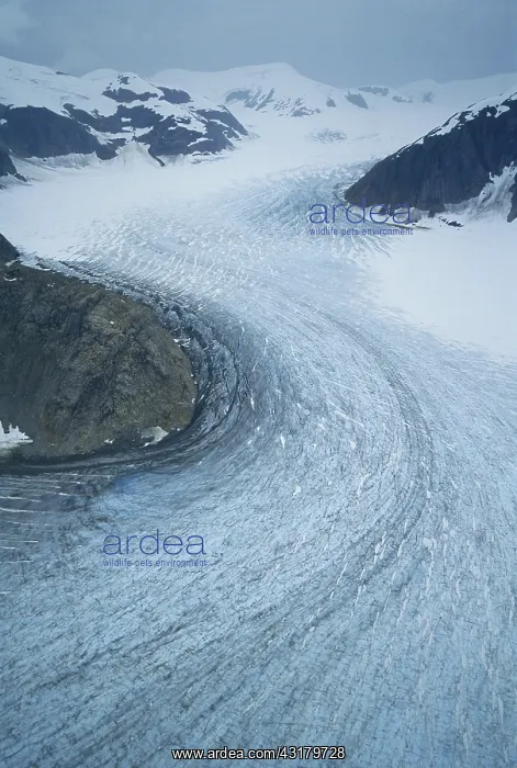 : LeConte Glacier : LeConte Glacier