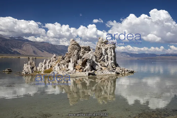 : Lee Vining, California - Tufa towers in Mono Lake : Lee Vining, California - Tufa towers in Mono Lake