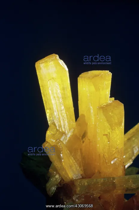 : Legrandite from Mapimi, Mexico : Legrandite from Mapimi, Mexico
