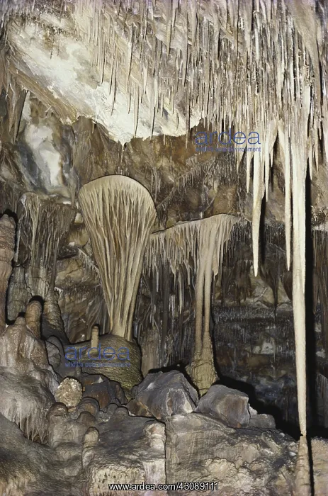  : Lehman Caves