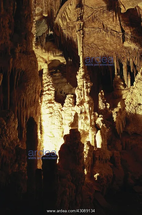 : Lehman Caves : Lehman Caves