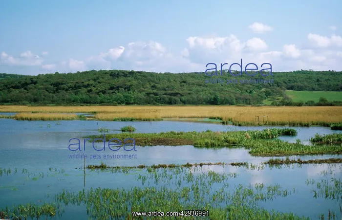  : Leighton Moss Nature Reserve (RSPB)