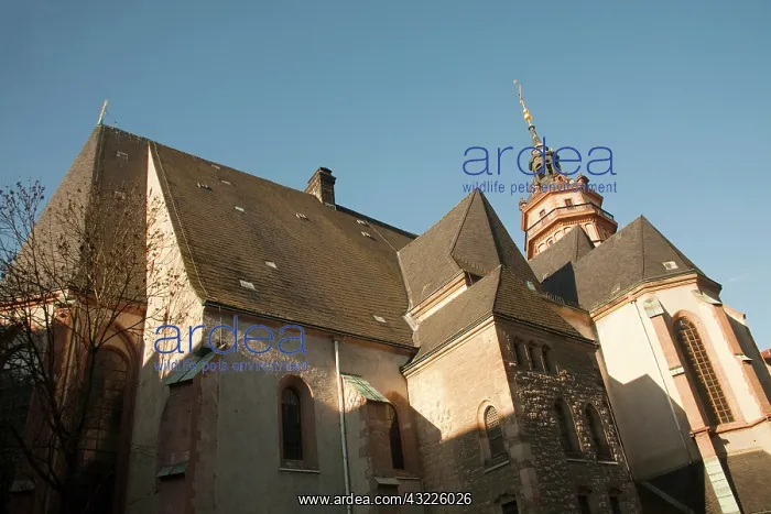 : Leipzig, Germany's historic St. Nicholas : Leipzig, Germany's historic St. Nicholas