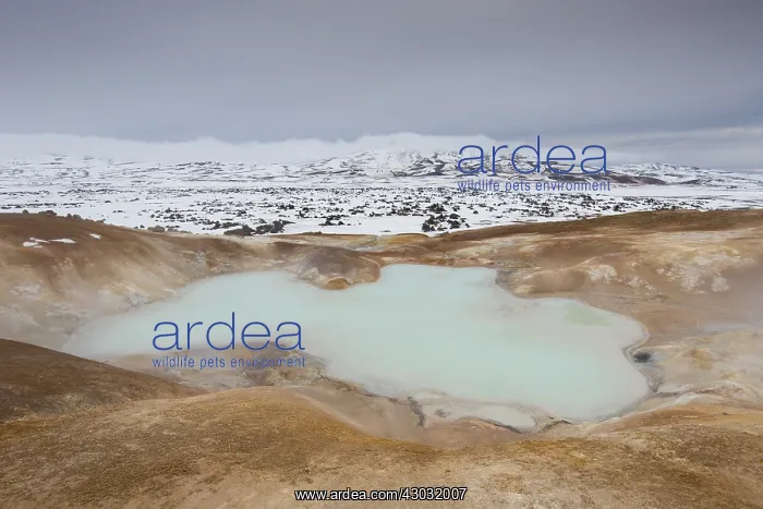 : Leirhnjukur is a lava field in the area of Krafla : Leirhnjukur is a lava field in the area of Krafla