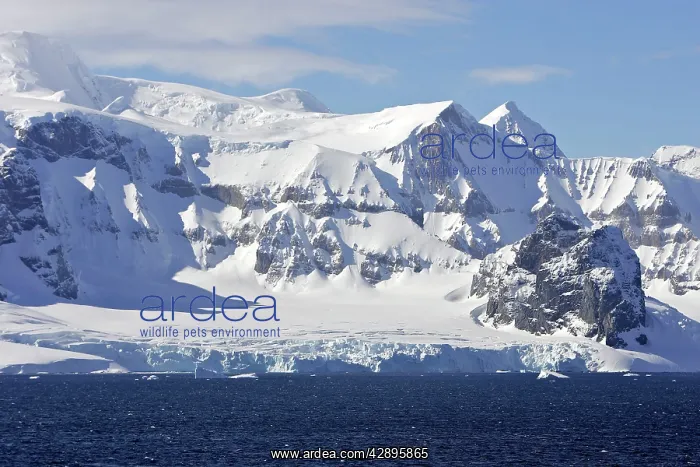  : Lemaire channel - Antarctic Peninsula