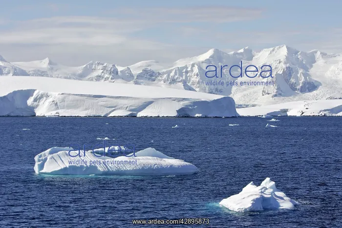  : Lemaire channel - Antarctic Peninsula