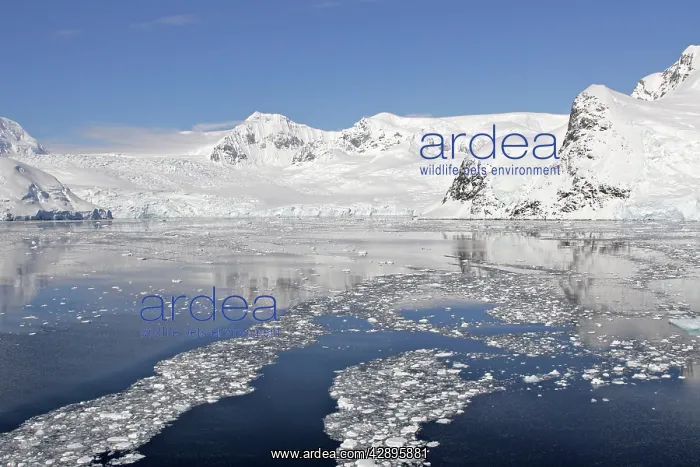  : Lemaire channel - Antarctic Peninsula