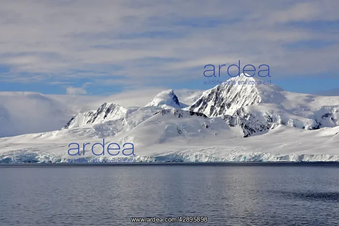  : Lemaire channel - Antarctic Peninsula