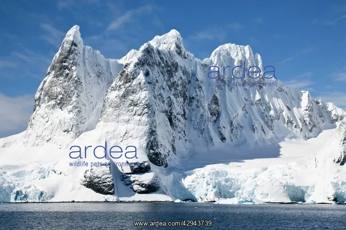 : Lemaire channel Antarctic peninsula scenics : Lemaire channel Antarctic peninsula scenics