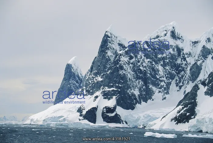 : Lemaire Channel, Antarctica : Lemaire Channel, Antarctica