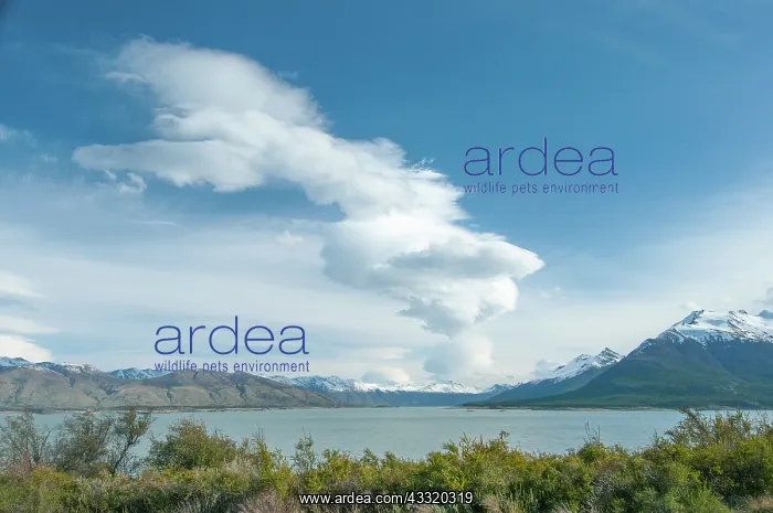 : Lenticular cloud : Lenticular cloud