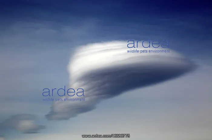 : Lenticular cloud, altocumulus, lenticularis, formed : Lenticular cloud, altocumulus, lenticularis, formed