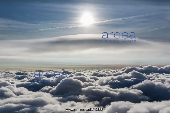 : Lenticular cloud, Cumulus lenticularis, above the : Lenticular cloud, Cumulus lenticularis, above the