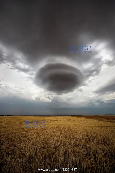 : Lenticular cloud in a thunderstorm. Lenticular cloud : Lenticular cloud in a thunderstorm. Lenticular cloud