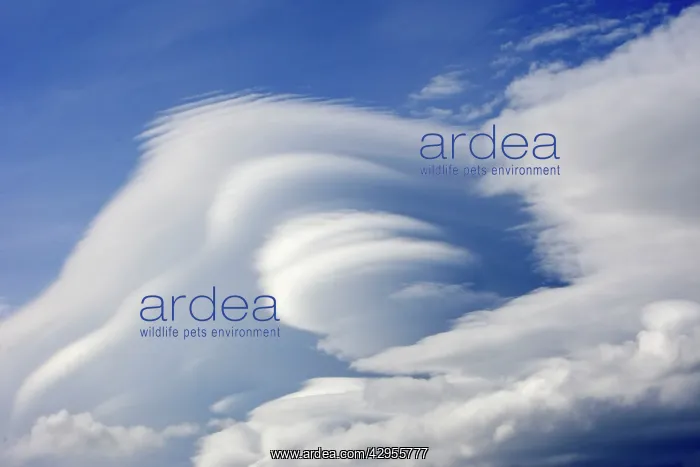 : Lenticular clouds : Lenticular clouds
