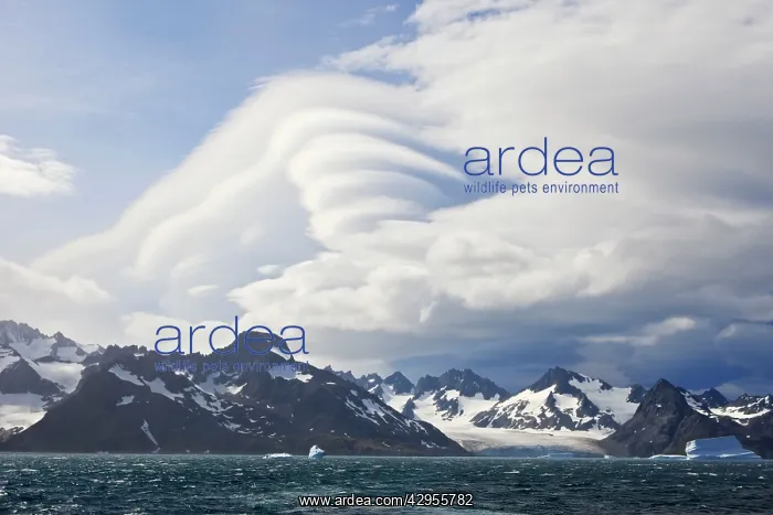 : Lenticular clouds : Lenticular clouds