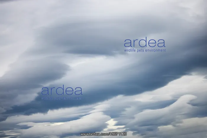  : Lenticular clouds, Lake Clark National Park and preserve