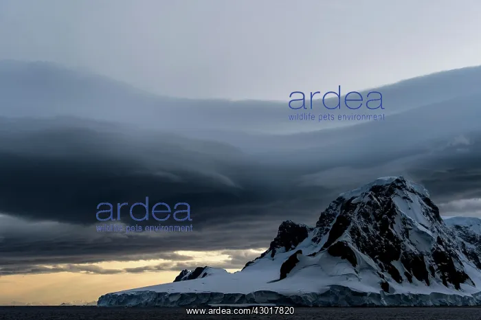 : Lenticular clouds over mountains : Lenticular clouds over mountains
