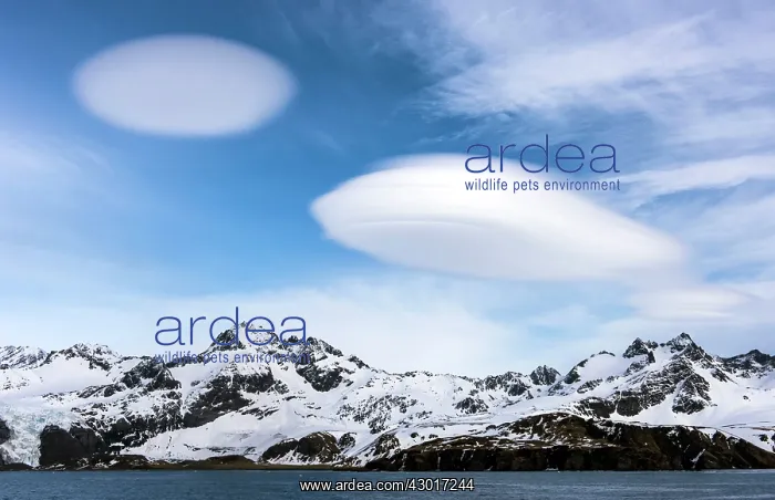 : Lenticular clouds over snow-capped mountains : Lenticular clouds over snow-capped mountains