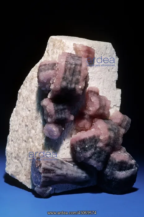 : Lepidolite from Brazil : Lepidolite from Brazil
