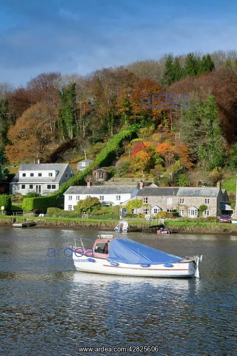 : Lerryn - River Fowey : Lerryn - River Fowey