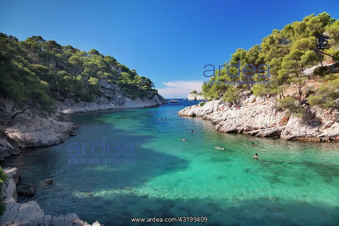 : Les Calanques bay, Port Pin, Calanques National : Les Calanques bay, Port Pin, Calanques National