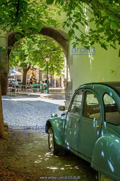 : Les Deux Chevaux, an old underpowered French : Les Deux Chevaux, an old underpowered French