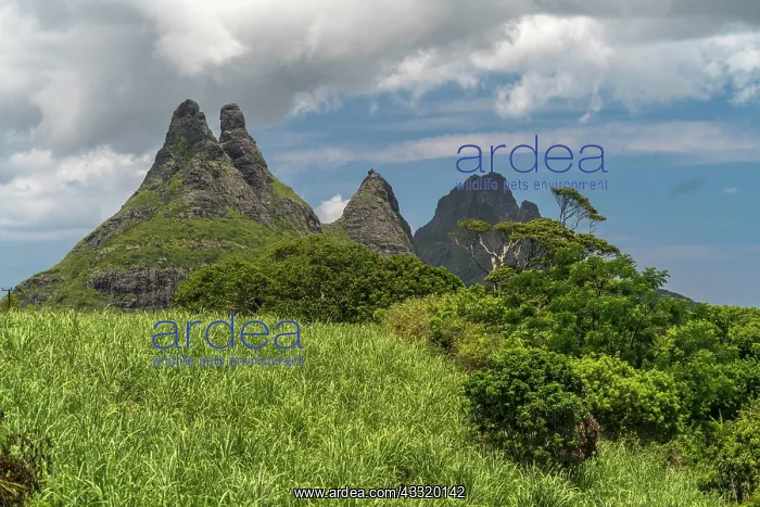 : Les Trois Mamelles, Mauritius, Africa : Les Trois Mamelles, Mauritius, Africa
