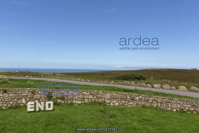 : Letters forming the word near Land's End, Cornwall : Letters forming the word near Land's End, Cornwall
