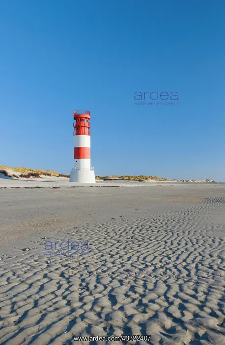 : Leuchtturm auf Insel Dune, Helgoland, Deutschland : Leuchtturm auf Insel Dune, Helgoland, Deutschland
