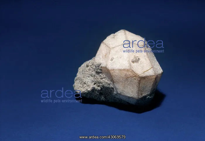 : Leucite from Casserta, Italy : Leucite from Casserta, Italy