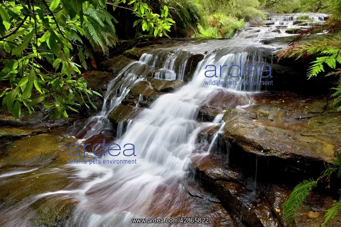 : Leura cascades : Leura cascades