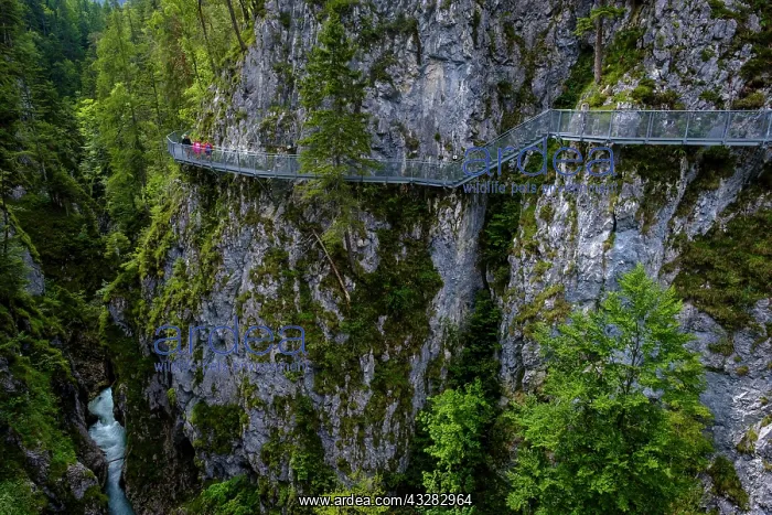 : Leutaschklamm Gorge, near Mittenwald, Upper Bavaria : Leutaschklamm Gorge, near Mittenwald, Upper Bavaria