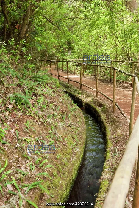  : Levada do Caldeirao Verde
