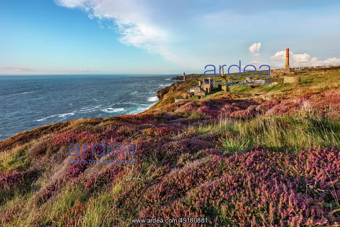 : Levant Mine - Cornwall - UK : Levant Mine - Cornwall - UK