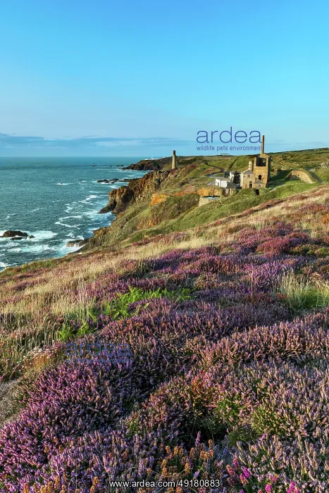 : Levant Mine - Cornwall - UK : Levant Mine - Cornwall - UK
