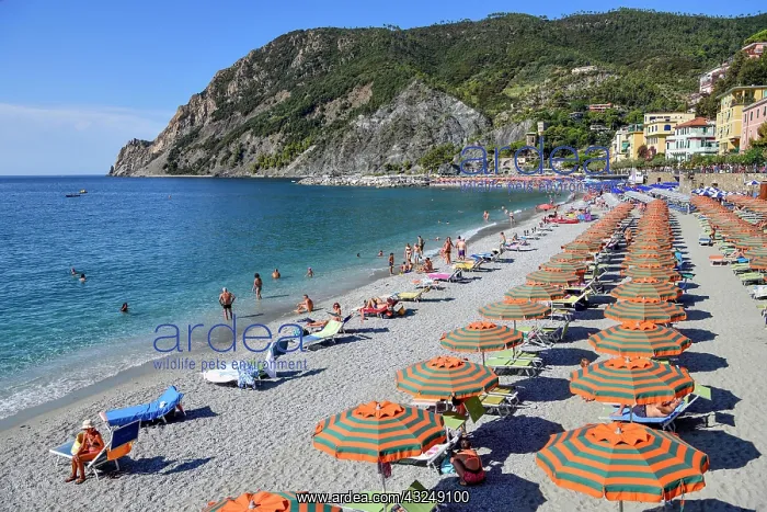 : Levanto Beach, Cinque Terre, Province of La Spezia : Levanto Beach, Cinque Terre, Province of La Spezia