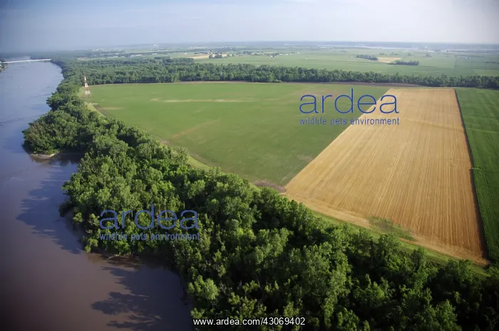 : Levee and Farmlands : Levee and Farmlands
